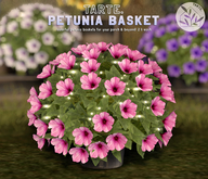 tarte. petunia basket (pink)
