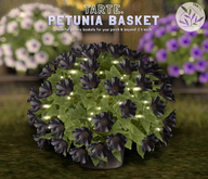 tarte. petunia basket (black)