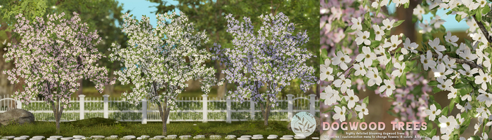 tarte. dogwood trees