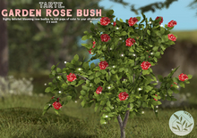 tarte. garden rose bush (red)