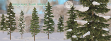 tarte. hemlock pine trees