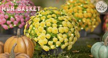 tarte. mum basket (yellow)