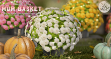 tarte. mum basket (white)