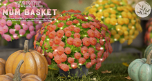tarte. mum basket (red)