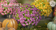 tarte. mum basket (purple)