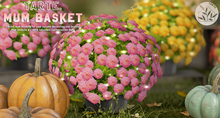 tarte. mum basket (pink)