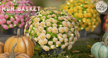 tarte. mum basket (peach)