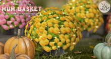 tarte. mum basket (orange)
