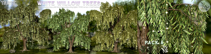 tarte. white willow trees (pack A)