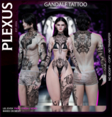 [PLEXUS]-Gandalf -Tattoo