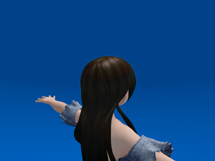 =ASR=  Jewelry hair