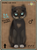 KittyCatS Box - Genesis - Coco IV Male