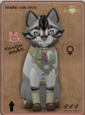 KittyCatS Box - KittyScoutS! - Posh Scout Girl