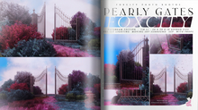 FOXCITY. Photo Booth - Pearly Gates (Daydream)