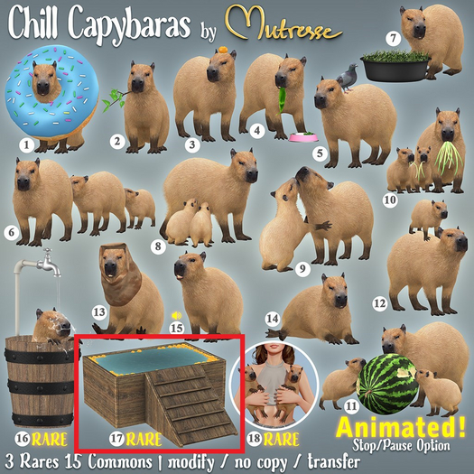 17. Mutresse-Chill Capybaras RARE