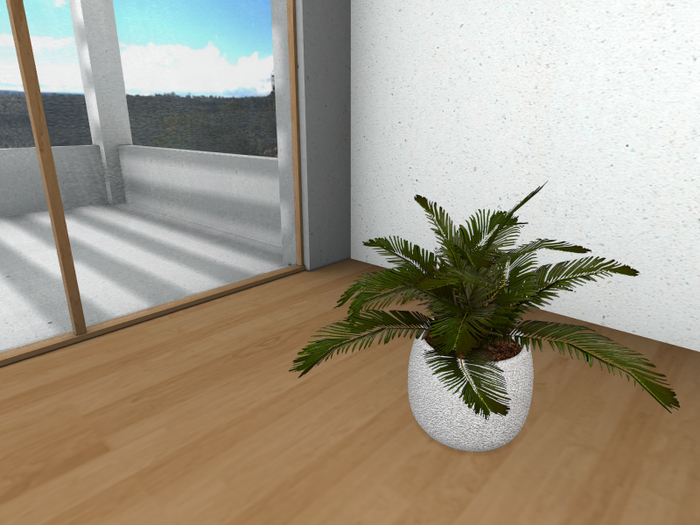 Potted Tropical Fern