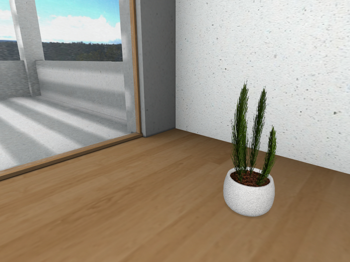 Potted Mediterranean Plant