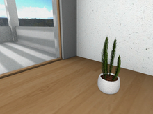 Potted Mediterranean Plant