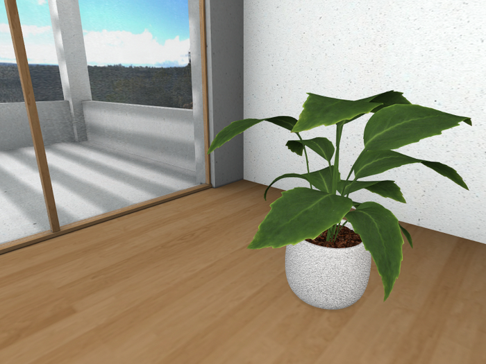 Potted Plant B