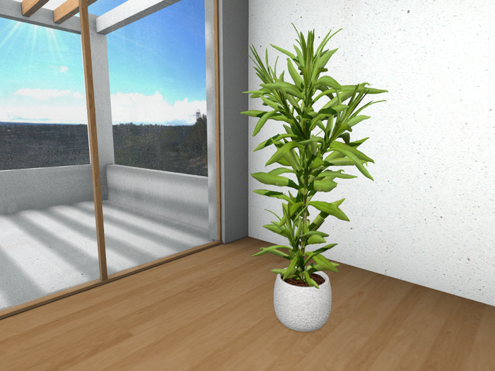 Potted Houseplant B