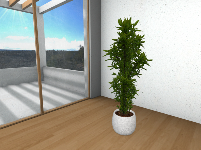 Potted Houseplant A