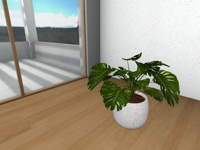 Potted Philodendron A
