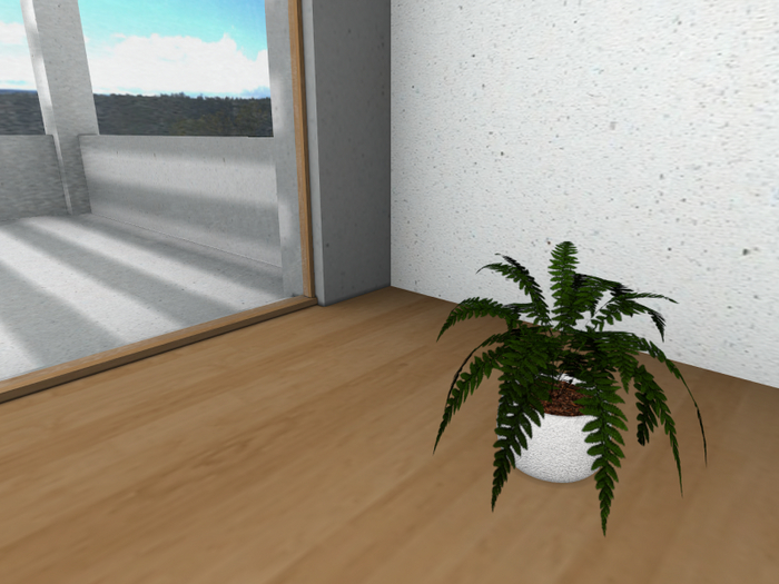 Potted Fern B