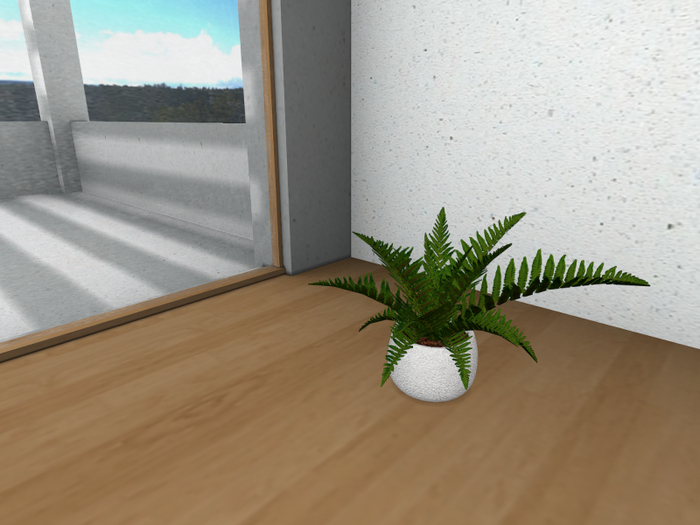 Potted Fern A