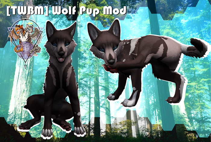 TWBM HUD UNPACK TEXTURE LR