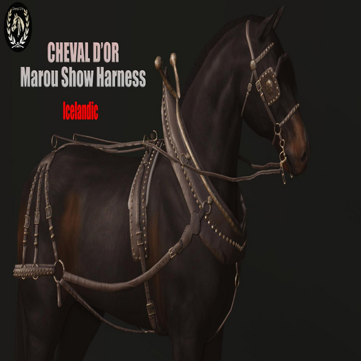 Cheval D'or / TeeglePet Icelandic / Marou Show Harness. [HUD]