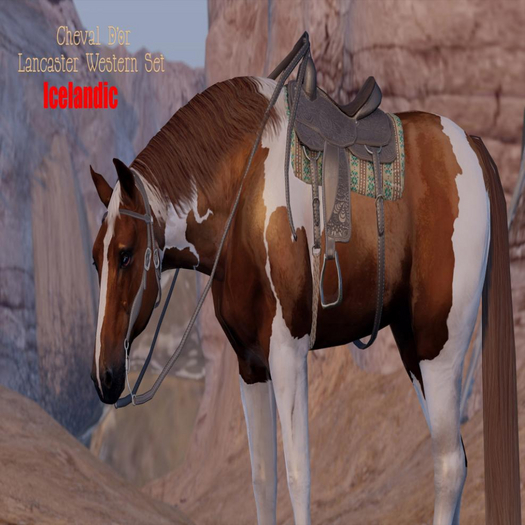 Second Life Marketplace - Cheval D'or / TeeglePet Icelandic / Lancaster ...