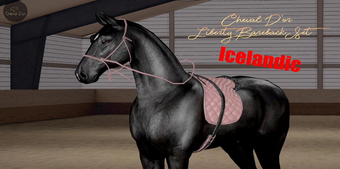 Cheval D'or / TeeglePet Icelandic / Liberty Bareback Set. [HUD]