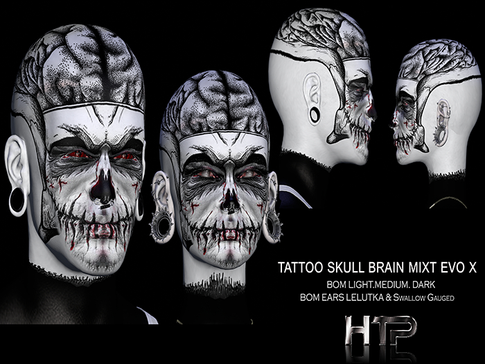 HTP -HARI TATTOO -SKULL BRAIN   BOX
