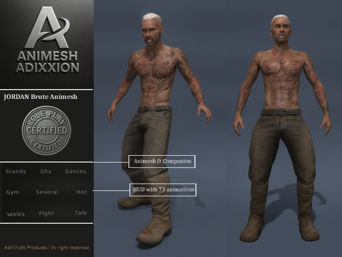 Jordan Brute Animesh & Companion