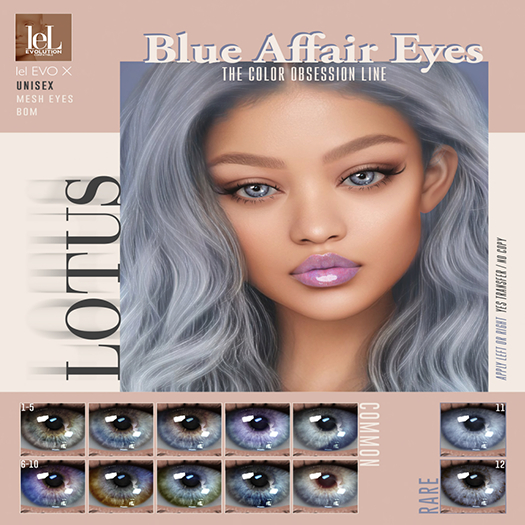 11. LOTUS. Blue Affair Eyes  [boxed] RARE