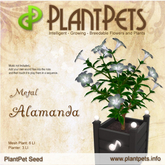 PlantPet Seed [Alamanda *Metal*]