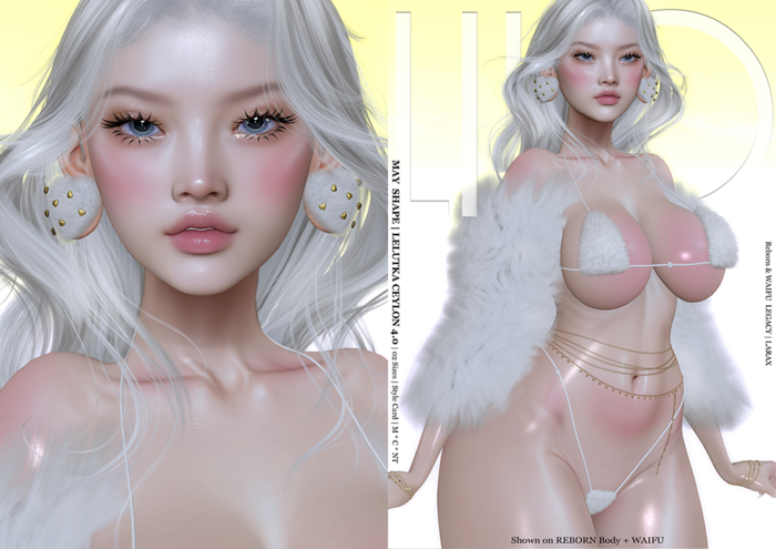 [LILO's FIT] Shape Lel EVOX Ceylon 4.0 [FATPACK] May