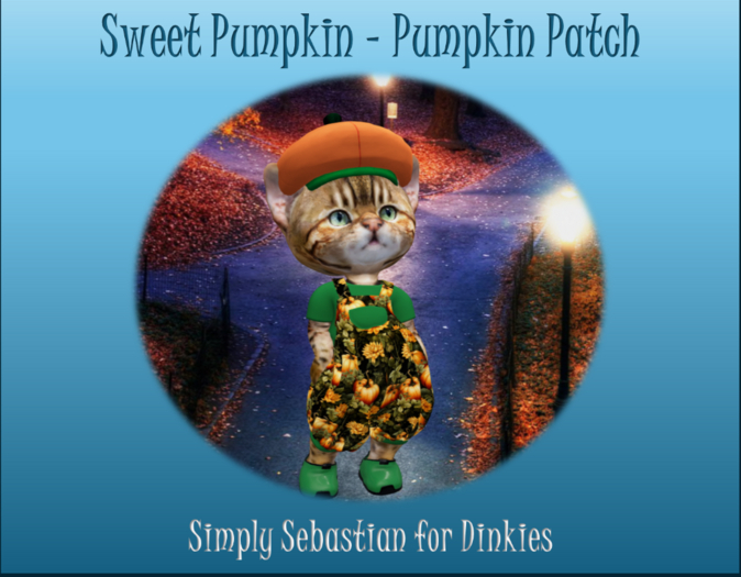 Sweet Pumpkin - Pumpkin Patch