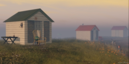 Veil Of Morning Mist