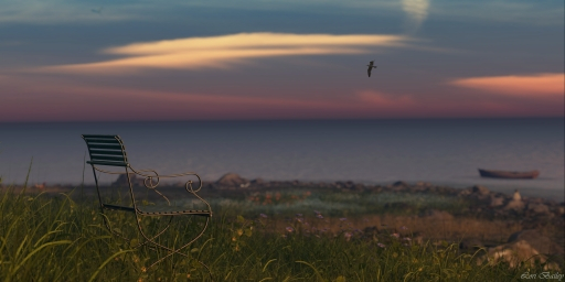 Where Stories Rest