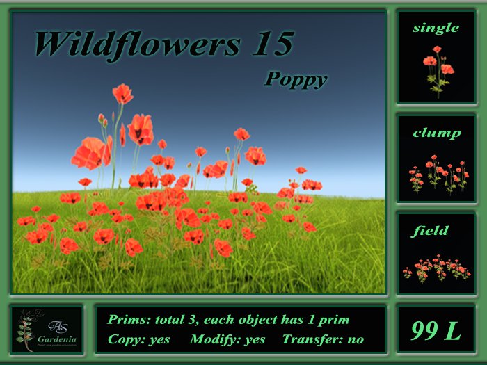 Wildflowers 15 Poppy