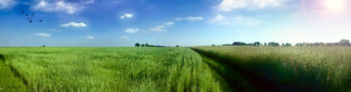 *~* Y's Art&Poses - Panorama Country