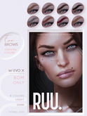 :RUU.: Eva EVOX Brow ESSENTIAL Colors