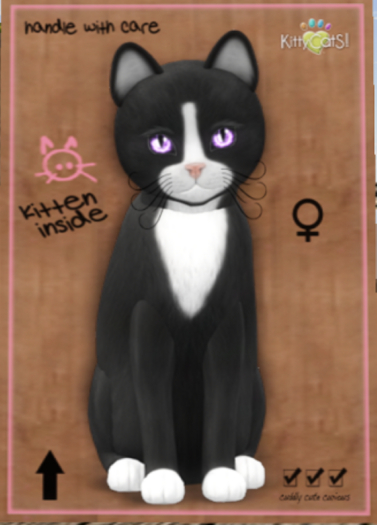 KittyCatS Box - Cinder