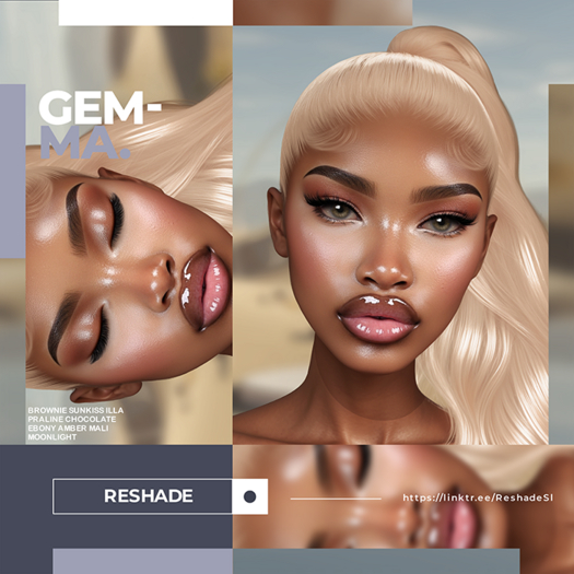 (RESHADE X VELOUR) - GEMMA SHAPE (EVOX)