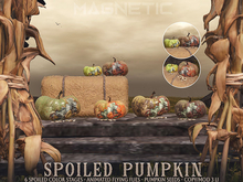 Magnetic - Spoiled Pumpkin