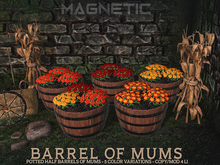 Magnetic - Barrel of Mums