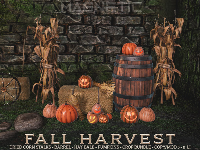 Magnetic - Fall Harvest