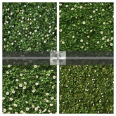 TB - TUDOR CAMOMILE LAWN