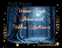 Bunny's Sounds-Soundscape-Winter Night Forest with Wolves-full perm